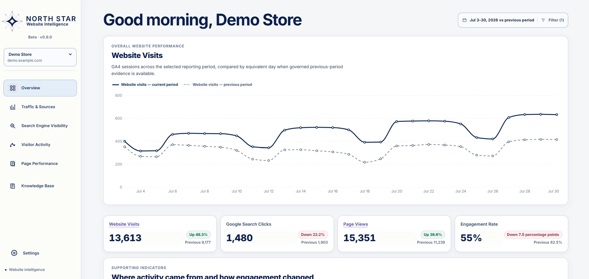 North Star dashboard overview showing website intelligence across traffic, search visibility, visitor activity, and page health.